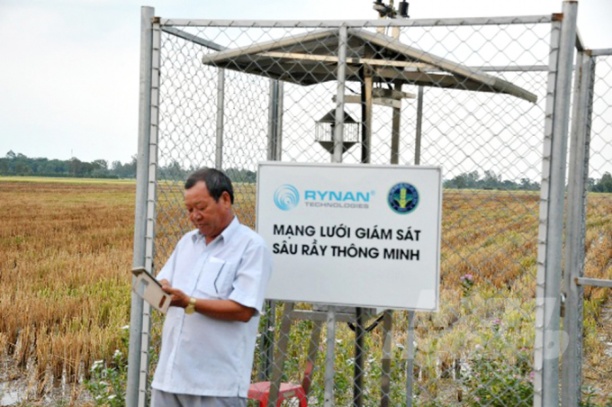 Chỉ với chiếc smartphone, ở bất kỳ nơi đâu, nông dân cũng có thể biết được tình hình sâu bệnh trên ruộng lúa ra sao để phòng trừ hiệu quả. Ảnh: Lê Hoàng Vũ.