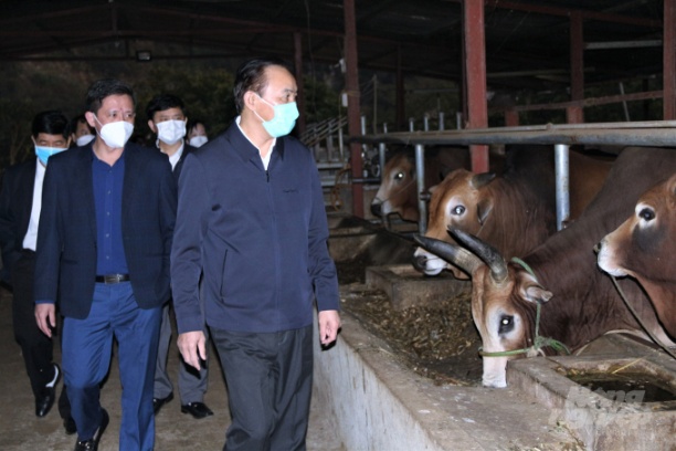 Thứ trưởng Phùng Đức Tiến dẫn đầu đoàn công tác của Bộ NN-PTNT kiểm tra tình hình phát triển chăn nuôi cũng như công tác phòng chống rét, phòng chống dịch bệnh động vật cho đàn vật nuôi tại tỉnh Sơn La. Ảnh: Phạm Hiếu.