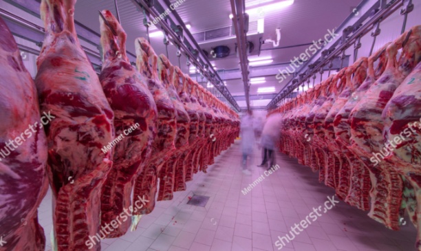 CP Foods hiện là nhà sản xuất thịt lợn lớn thứ 9 ở Nga, với 2,6% thị phần, tương đương 129.200 tấn. Ảnh: Shutterstock