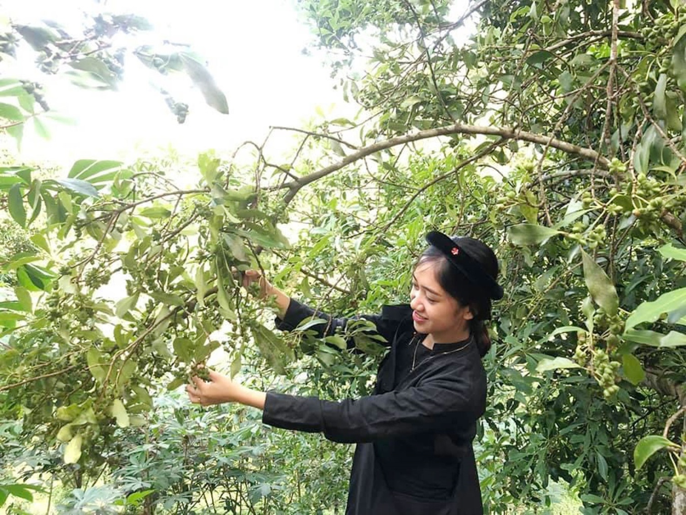 Nông dân xã Bình Văn thu hoạch hồi