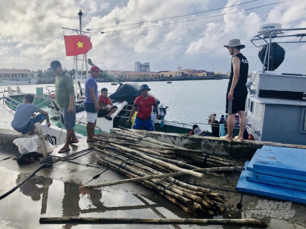 Vận chuyển thêm các loại vật tư làm nhà màng, nhà lưới công nghệ cao, các giống rau, cây xanh, gia súc, gia cầm ra các đảo nhằm giúp bộ đội chủ động tăng cường nguồn rau xanh, cung ứng thực phẩm tại chỗ, cải thiện bữa ăn hàng ngày. Ảnh: Xuân Chinh.