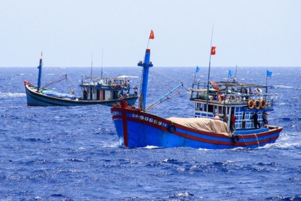 Dự thảo Chương trình đặt mục tiêu giảm số lượng tàu cá, nhất là các tàu hành nghề có nguy cơ xâm hại tới môi trường và nguồn lợi hải sản. Ảnh: LB.