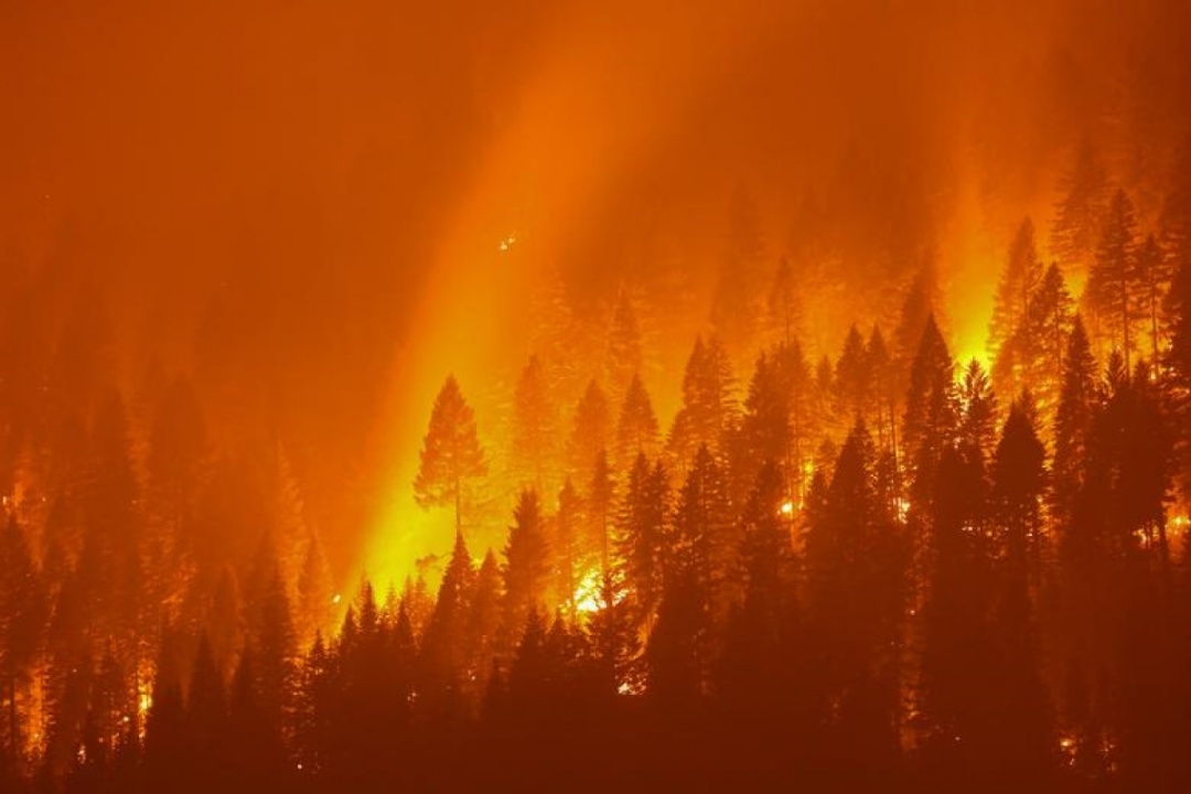 Trận cháy rừng Dixie ở Taylorsville, California ngày 27/7/2021.