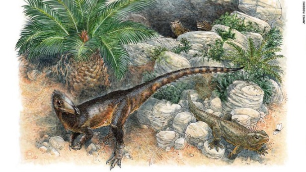 Phát hiện 6 loài khủng long cùng hơn 500 loài mới trong năm 2021 - Ảnh 2.