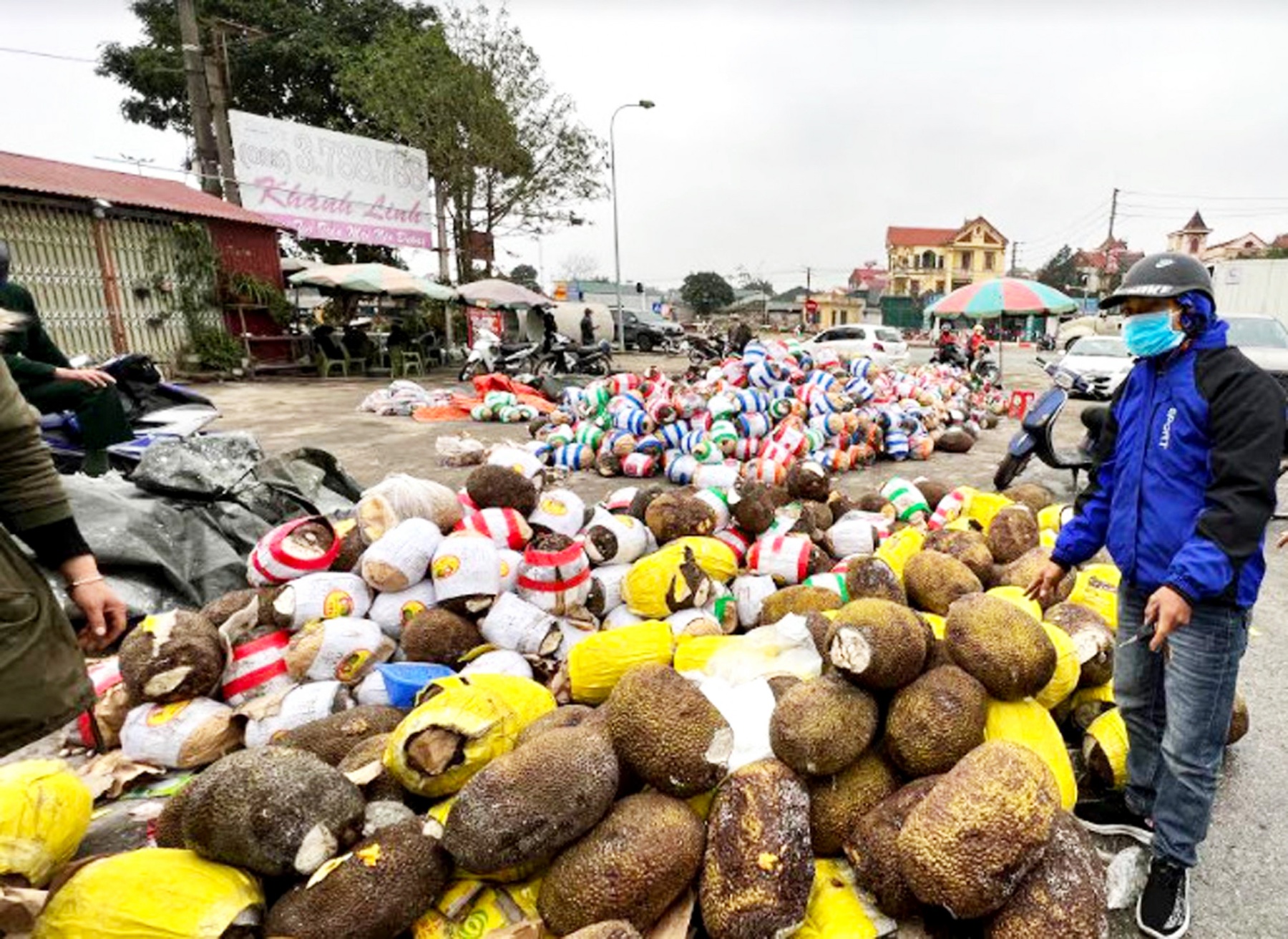 Hàng trăm tấn nông sản bị vứt bỏ cạnh cửa khẩu Hữu Nghị, tỉnh Lạng Sơn, được người dân thu gom về bán lại - ẢNH: LÊ NGUYỄN