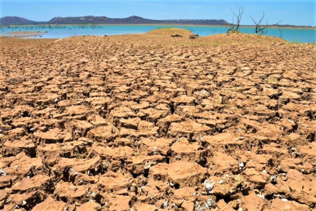 Biến đổi khí hậu đang thách thức nhân loại; Nguồn: news.mongabay.com