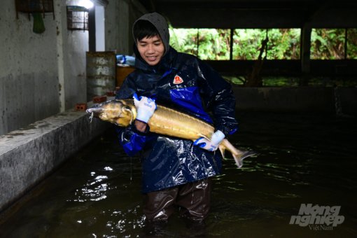 watermark_ca-tam-lao-cai-12-1806_20211227_442-151359.jpeg