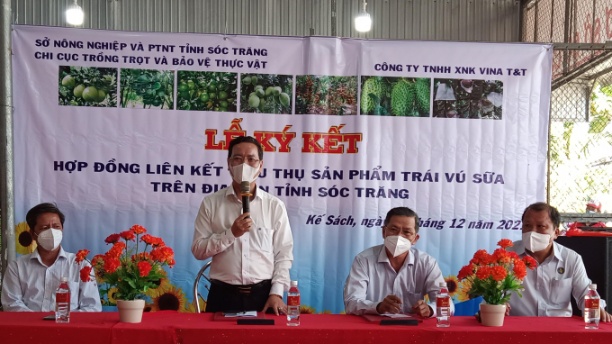 Lễ ký kết liên kết xuất khẩu vú sữa tím Kế Sách với Công ty TNHH Xuất nhập khẩu VINA T&T. Ảnh: VBQ.