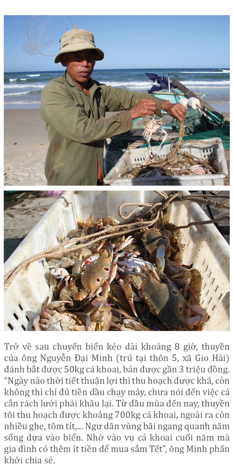 Vào vụ cá khoai, ngư dân Quảng Trị thu tiền triệu mỗi ngày ảnh 9