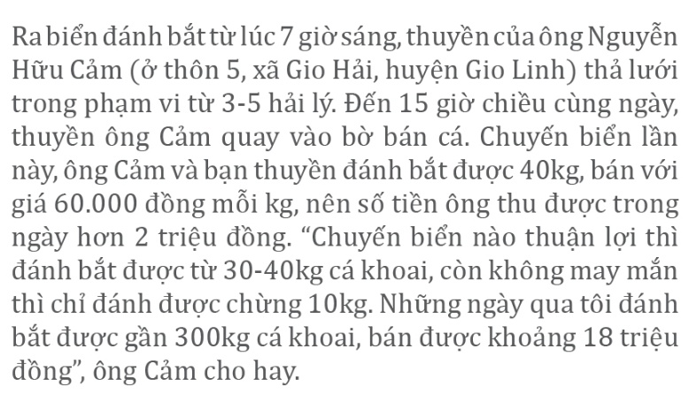 Vào vụ cá khoai, ngư dân Quảng Trị thu tiền triệu mỗi ngày ảnh 6
