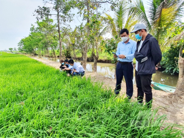 Cục BVTV phối hợp với Sở NN-PTNT An Giang triển khai ứng dụng 'Nhận diện sinh vật gây hại lúa' thực tế trên đồng ruộng tại 2 huyện Châu Thành và Châu Phú (An Giang) để nông dân trải nghiệm. Ảnh: Lê Hoàng Vũ.