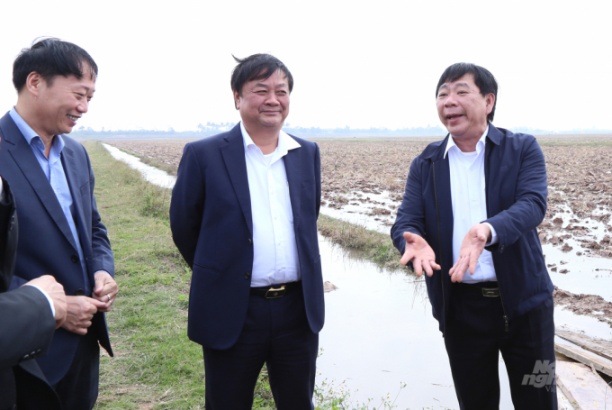 Bộ trưởng Lê Minh Hoan (giữa) về thăm HTX Bình Định (Kiến Xương, Thái Bình). Ảnh: Minh Phúc.