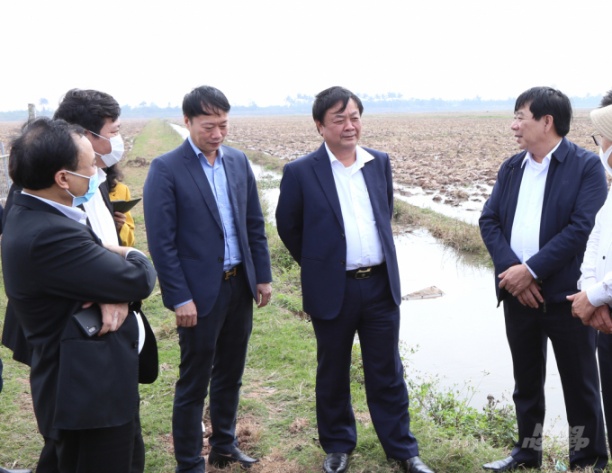 Bộ trưởng Bộ NN-PTNT Lê Minh Hoan (thứ 2 từ phải sang) thăm cánh đồng xã Bình Định, huyện Kiến Xương, Thái Bình vào ngày 8/1/2021. Ảnh: Minh Phúc.