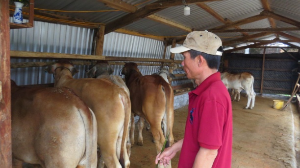 Một gian hàng bò ở xóm chợ bò thôn Mỹ Thạnh Trung 1, xã Hòa Phong, huyện Tây Hòa (Phú Yên): Ảnh: MHN.