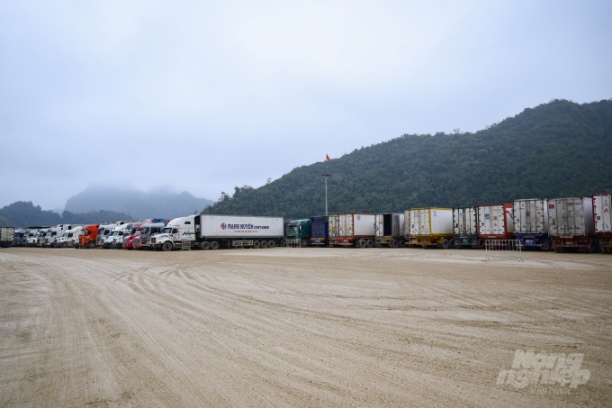 Tính đến ngày 13/2, có gần 2.000 xe tải đang chờ thông quan ở các khu vực cửa khẩu của Lạng Sơn, đa phần là xe chở nông sản tươi. Ảnh: Tùng Đinh.