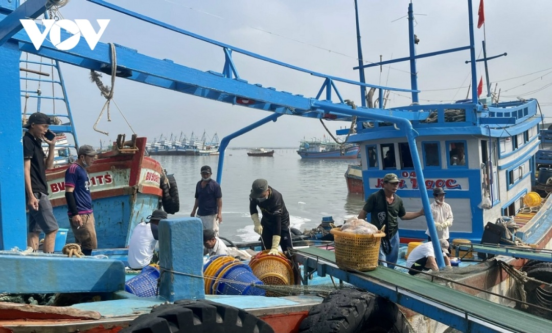 Ngư dân Bà Rịa - Vũng Tàu mong muốn giá hải sản ổn định để tiếp tục bám biển. (Ảnh: Lưu Sơn)
