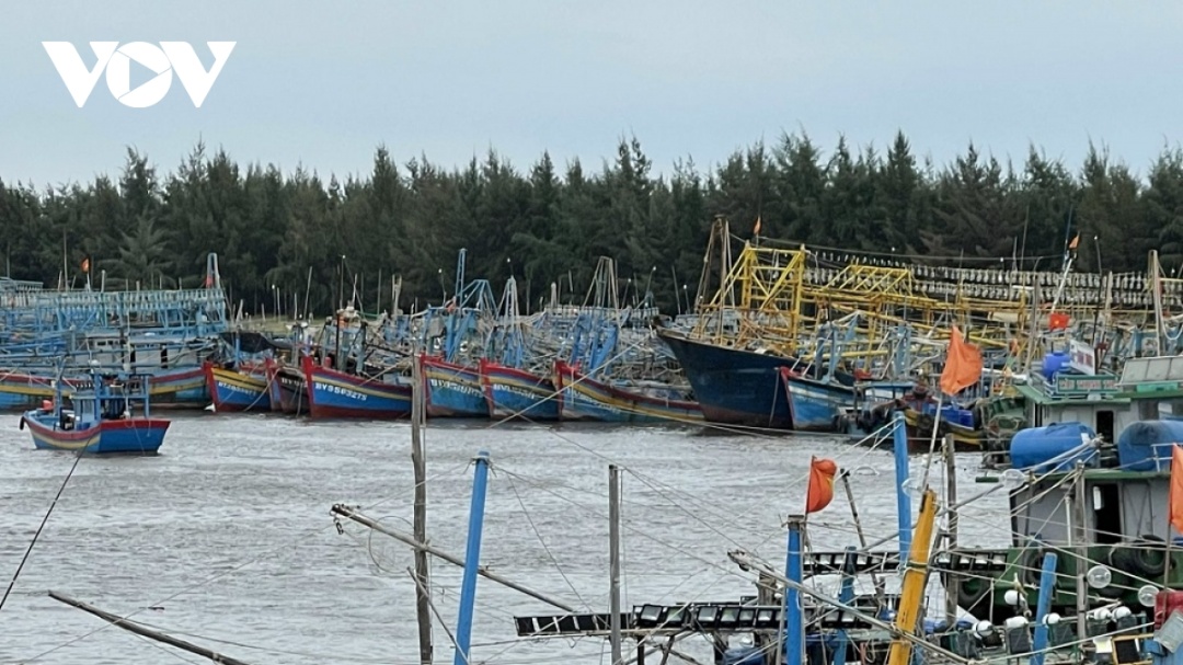 Do chi phí xăng dầu tăng cao từ sau Tết Nhâm Dần 2022 đến nay nhiều tàu đánh bắt xa bờ ở Bà Rịa - Vũng Tàu phải nằm bờ. (Ảnh: Lưu Sơn)