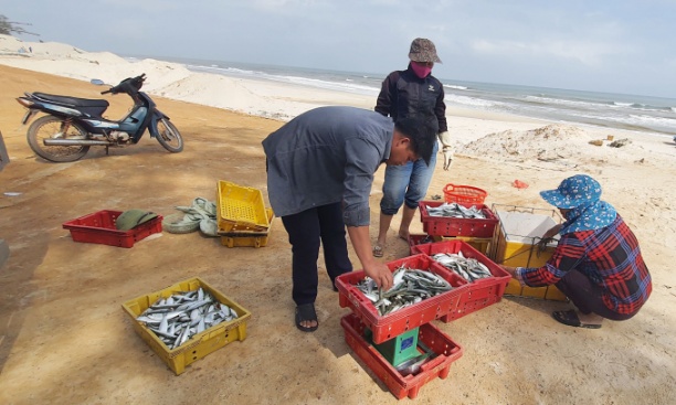 Bến cá mới đã thuận lợi cho việc tiêu thụ tôm cá cho ngư dân các xã biển bãi ngang ở Quảng Bình. Ảnh: Tâm Phùng.