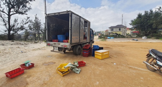 Thương lái chạy ô tô về tận bến cá xã Hải Ninh để thu mua thủy sản nên rất thuận tiện cho ngư dân. Ảnh: Tâm Phùng.