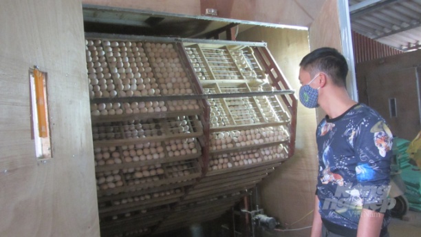 Máy ấp nở trứng gà của chủ trang trại gia cầm của anh Nguyễn Văn Dân. Ảnh: HB.