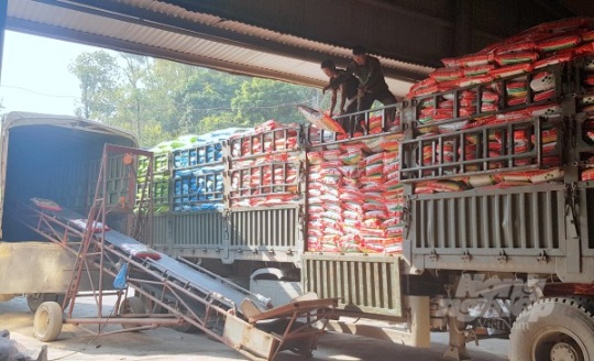 Công ty Cổ phần Vật tư nông nghiệp Cao Bằng vận chuyển phân bón cung ứng cho các đại lý, cửa hàng. Ảnh: Công Hải.