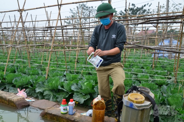 Một nông dân ở xã Yên Phú (huyện Yên Mỹ, tỉnh Hưng Yên) đang đấu nhiều loại thuốc vào để phun cho rau. Ảnh: Dương Đình Tường.