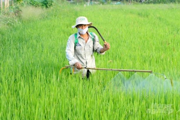 Nông dân ĐBSCL phun thuốc BVTV phòng ngừa dịch muỗi hành gây hại ở lúa đông xuân muộn. Ảnh: Lê Hoàng Vũ.