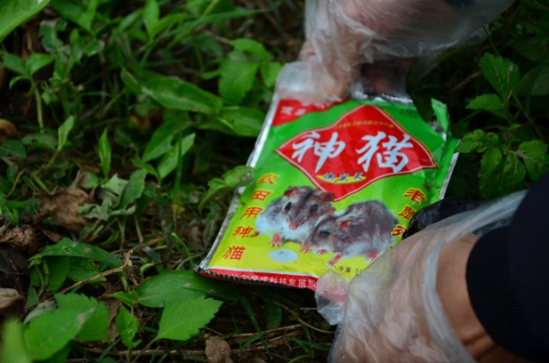 Thuốc chuột của Tàu, nhập lậu thu được trên cánh đồng xã Nguyên Giáp, huyện Tứ Kỳ, tỉnh Hải Dương. Ảnh: Dương Đình Tường.