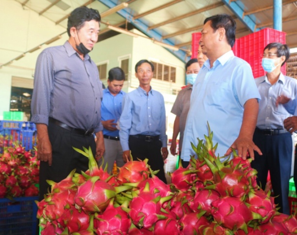 Bộ trưởng Lê Minh Hoan cho rằng, cần phải tạo ra cuộc cách mạng tổ chức sản xuất cho quả thanh long thời gian tới. Ảnh: KS.