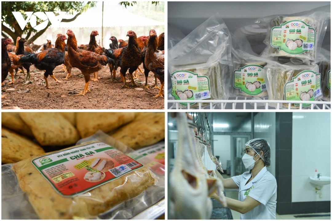 Chị Đinh Thị Hải Linh nhân viên HTX Nông nghiệp xanh Yên Thế (Bắc Giang) phát triển mở rộng mô hình sản phẩm giò, chả, xúc xích... được làm từ gà đồi Yên Thế.