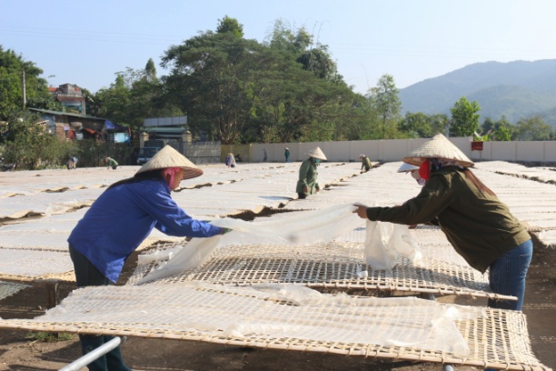 Huyện Bình Liêu định hướng lồng ghép du lịch nông thôn với hoạt động sản xuất sản phẩm OCOP miến dong. Ảnh: Nguyễn Thành.