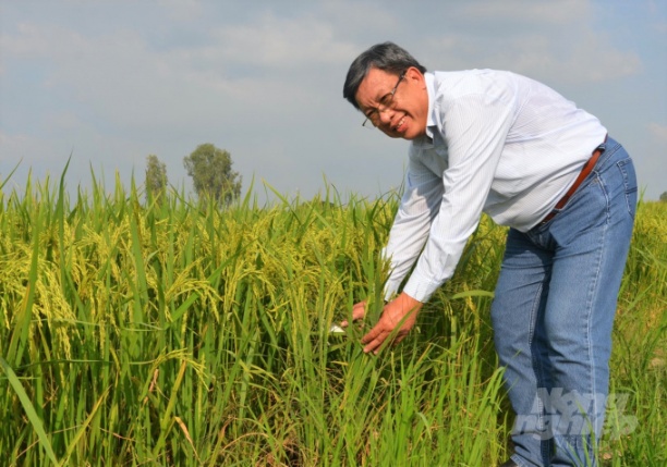 ông Lê Thanh Tùng, Phó Cục trưởng Cục Trồng trọt kiểm tra sản xuất lúa đồng xuân 2021 - 2022 tại ĐBSCL. Ảnh: Trung Chánh.