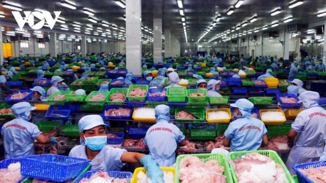 Thủy sản là một trong những mặt hàng xuất khẩu chủ lực của Việt Nam. (Ảnh minh họa)