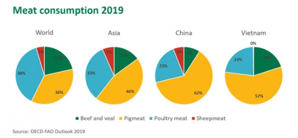 Biểu đồ mô tả lượng tiêu thụ thịt thế giới, Châu Á, Trung Quốc và Việt Nam trong năm 2019 (xanh lá là thịt bò-bê; vàng là thịt lợn; xanh dương là thịt gia cầm và đỏ là thịt cừu). Đồ họa: OECD & FAO 