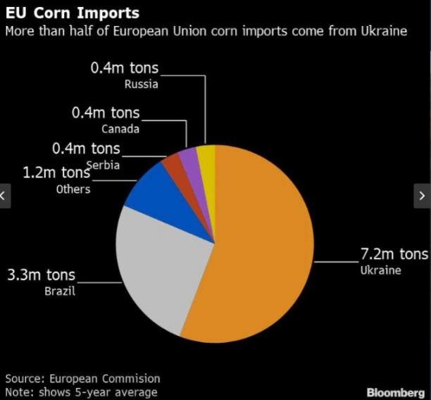 Nông dân châu Âu đã buộc phải dùng thức ăn chăn nuôi biến đổi gen nhập khẩu từ châu Mỹ do quá phụ thuộc vào nguồn ngô nhập khẩu từ Ukraine, thể hiện qua biểu đồ hiển thị màu cam (7,2 triệu tấn). Nguồn: Bloomberg