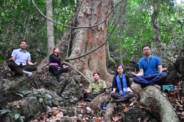 Đoàn chúng tôi đang trải nghiệm tắm rừng bằng cách ngồi thiền dưới một gốc nghiến cổ thụ. Ảnh: MT.