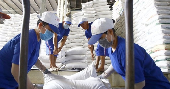Gạo Việt Nam tăng tốc xuất khẩu sang ASEAN ảnh 1