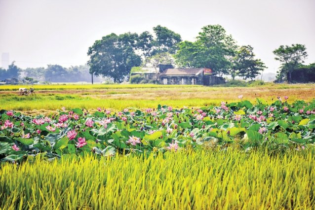 Anh minh hoa