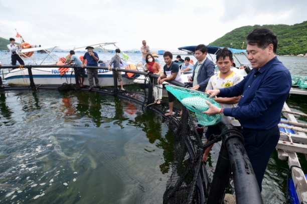 Khu vực nuôi cá bằng lồng HDPE của Viện Thủy sản 1 trên Vịnh Vân Phong, Khánh Hòa. Ảnh: Tùng Đinh.