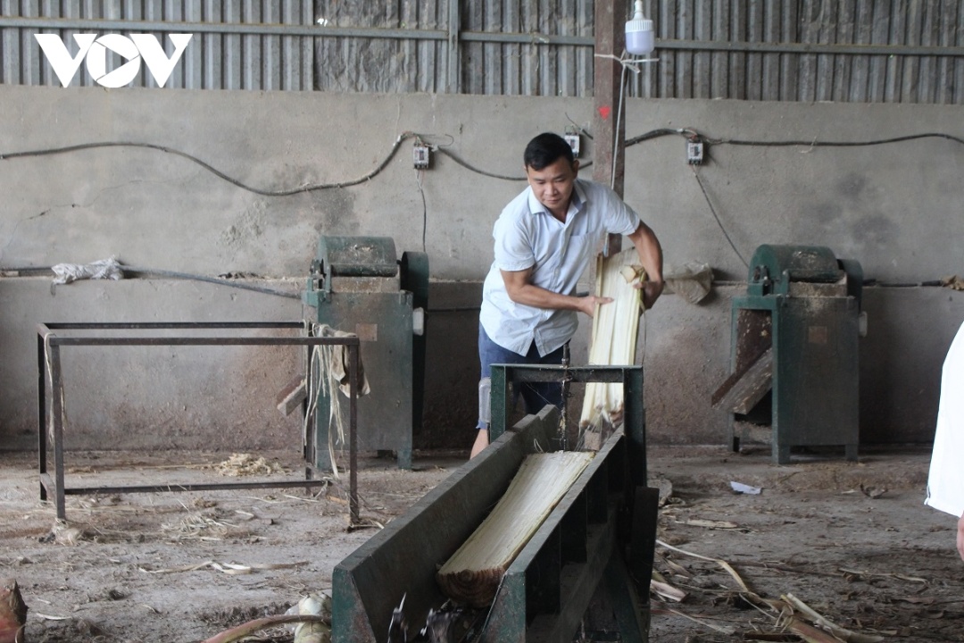 Anh Cà Văn Mua, huyện Mường La (Sơn La) đã đầu tư máy móc sản xuất sợi từ thân cây chuối.