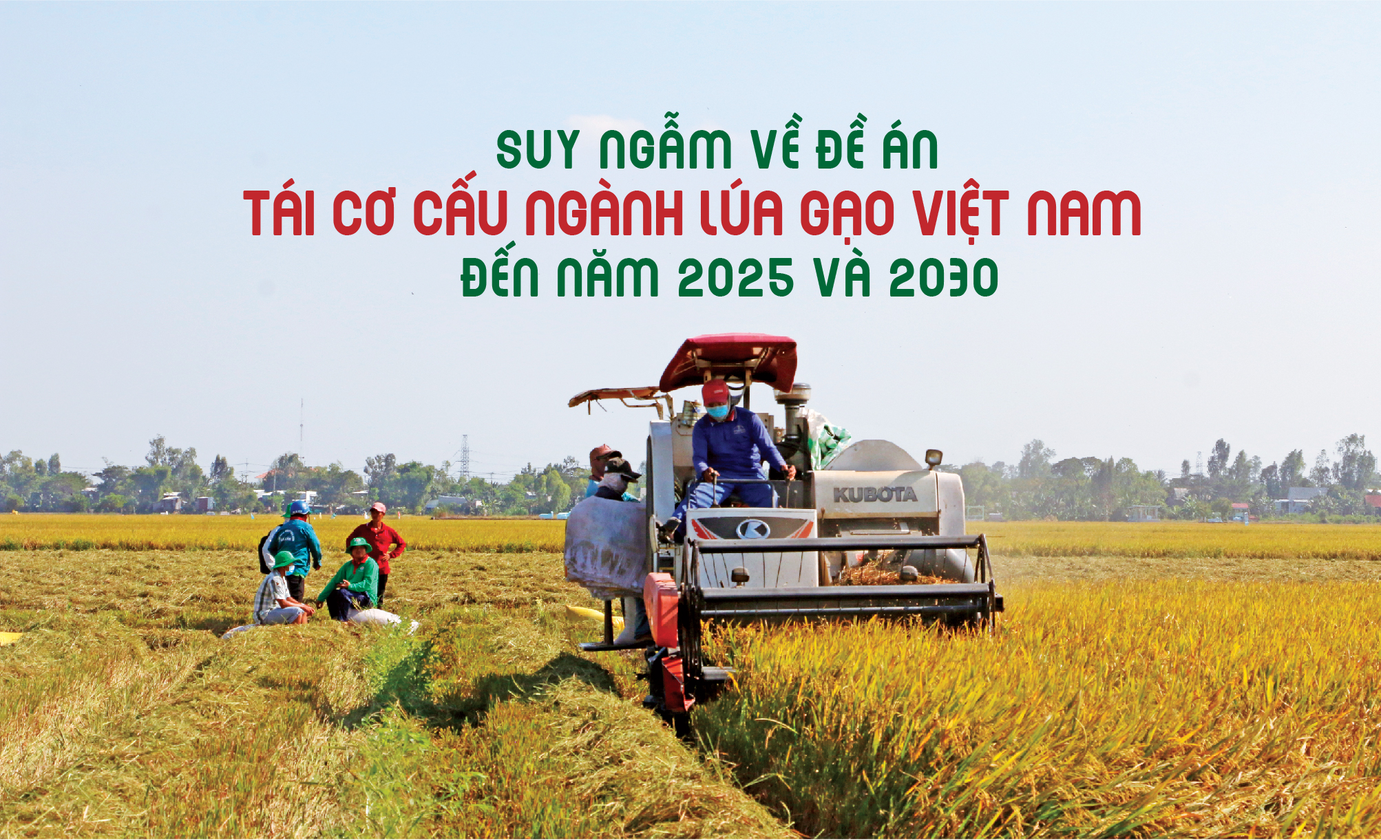 Xuất khẩu gạo của Nghệ An tăng 4 lần so với cùng kỳ