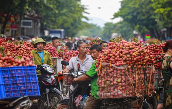 bac-giang-nguoi-dan-luc-ngan-tap-nap-di-ban-vai-chin-som_1655106284.JPG