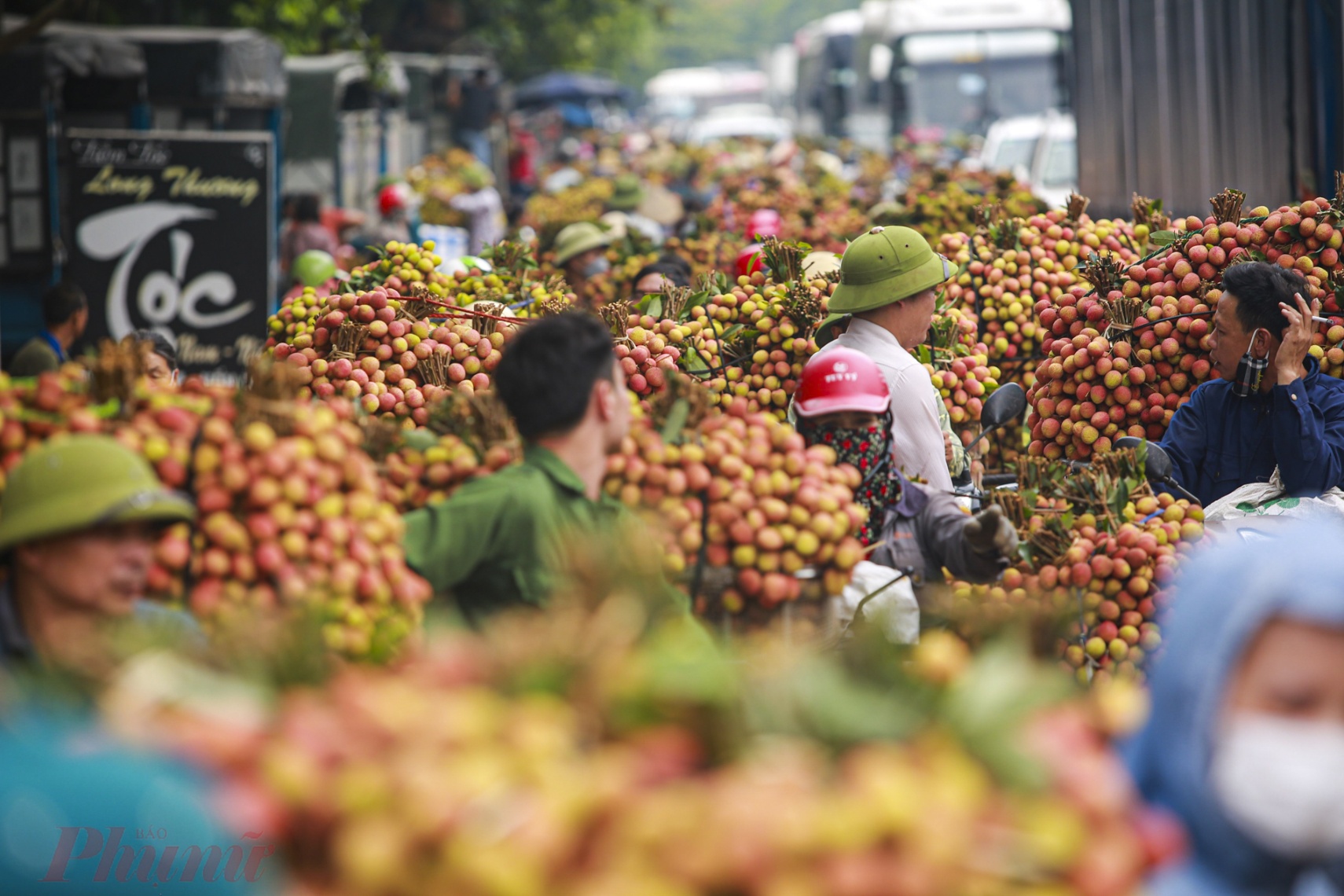 Những ngày này, người dân ở khắp các vùng Lục Ngạn đã đưa vải chín sớm ra dọc trục đường ở trước chợ ở phố Kim (Lục Ngạn, Bắc Giang) để nhập cho các thương lái.