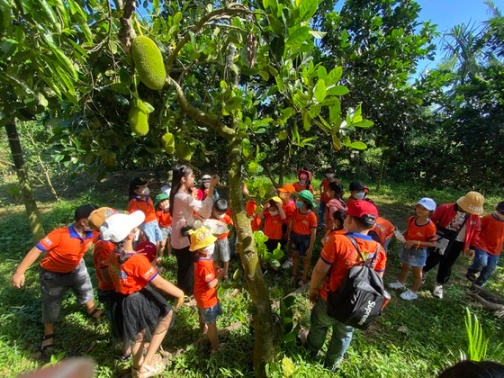 Khám phá vườn trái cây Nam bộ tại làng du lịch Bình Thành, Quảng Ngãi ảnh 3