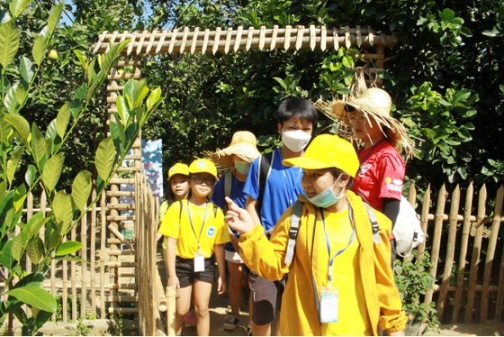 Khám phá vườn trái cây Nam bộ tại làng du lịch Bình Thành, Quảng Ngãi ảnh 1
