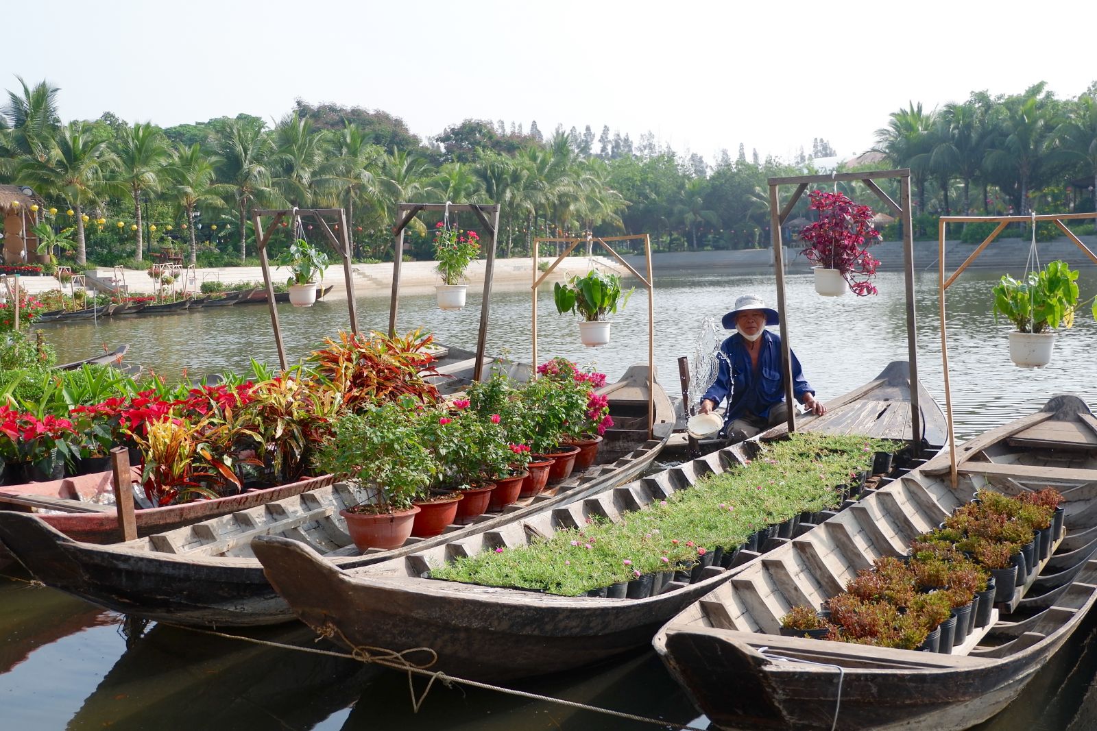 Xuôi Dòng Vàm Cỏ Khám Phá Long An
