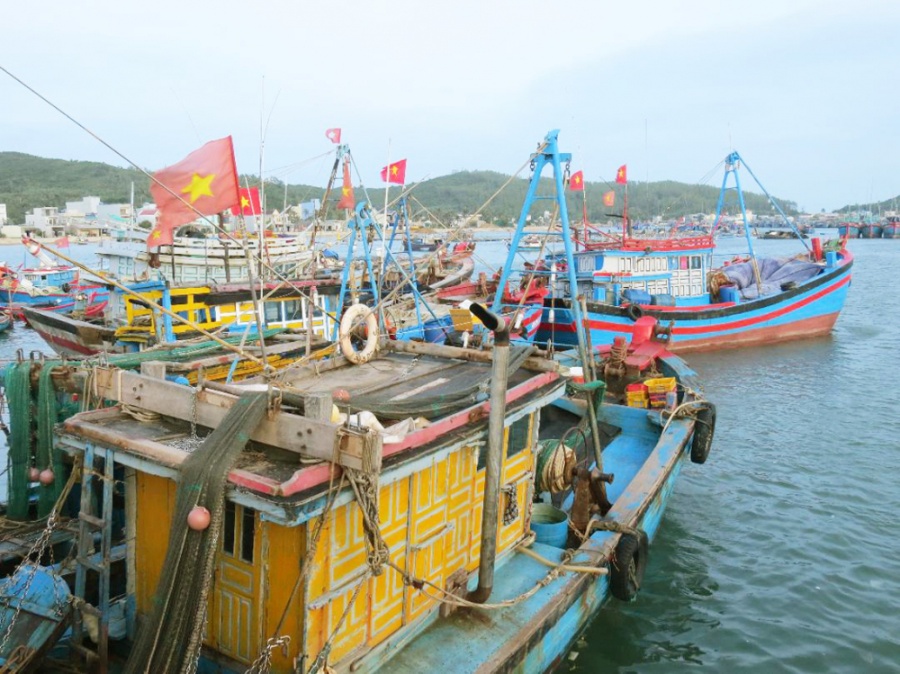 Giá nhiên liệu tăng cao khiến nhiều tàu cá ở xã Phổ Thạnh, thị xã Đức Phổ, tỉnh Quảng Ngãi không thể ra khơi
