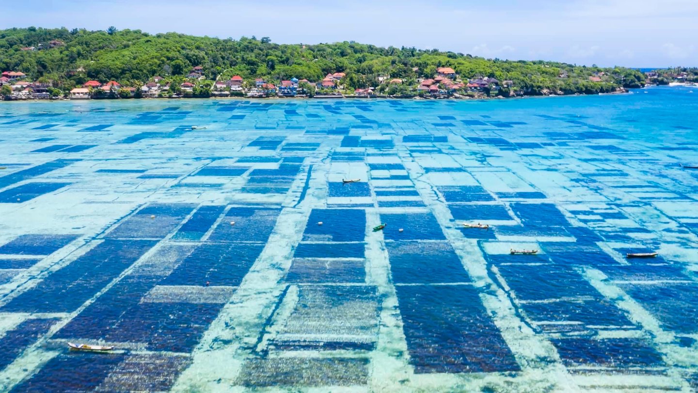 Getty Images - Bali Indonesia.jpeg