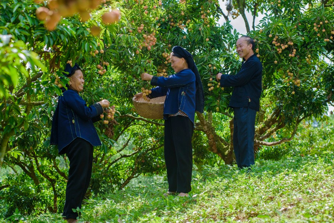 Đồng bào dân tộc Nùng ở Lục Ngạn..jpg