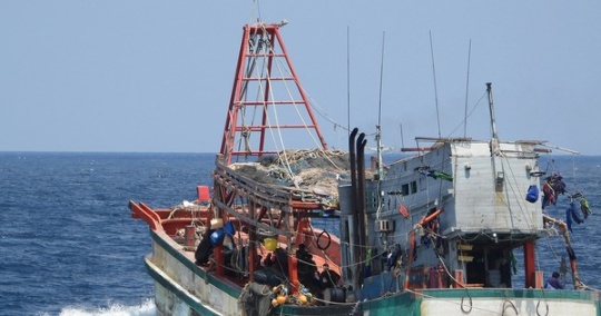 Kiên Giang: Hàng trăm tàu cá chưa lắp thiết bị giám sát hành trình ảnh 1
